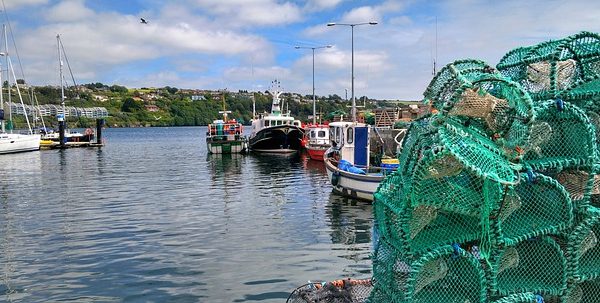 The Maine Lobster Industry